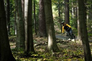 Endurance fondamentale à vélo